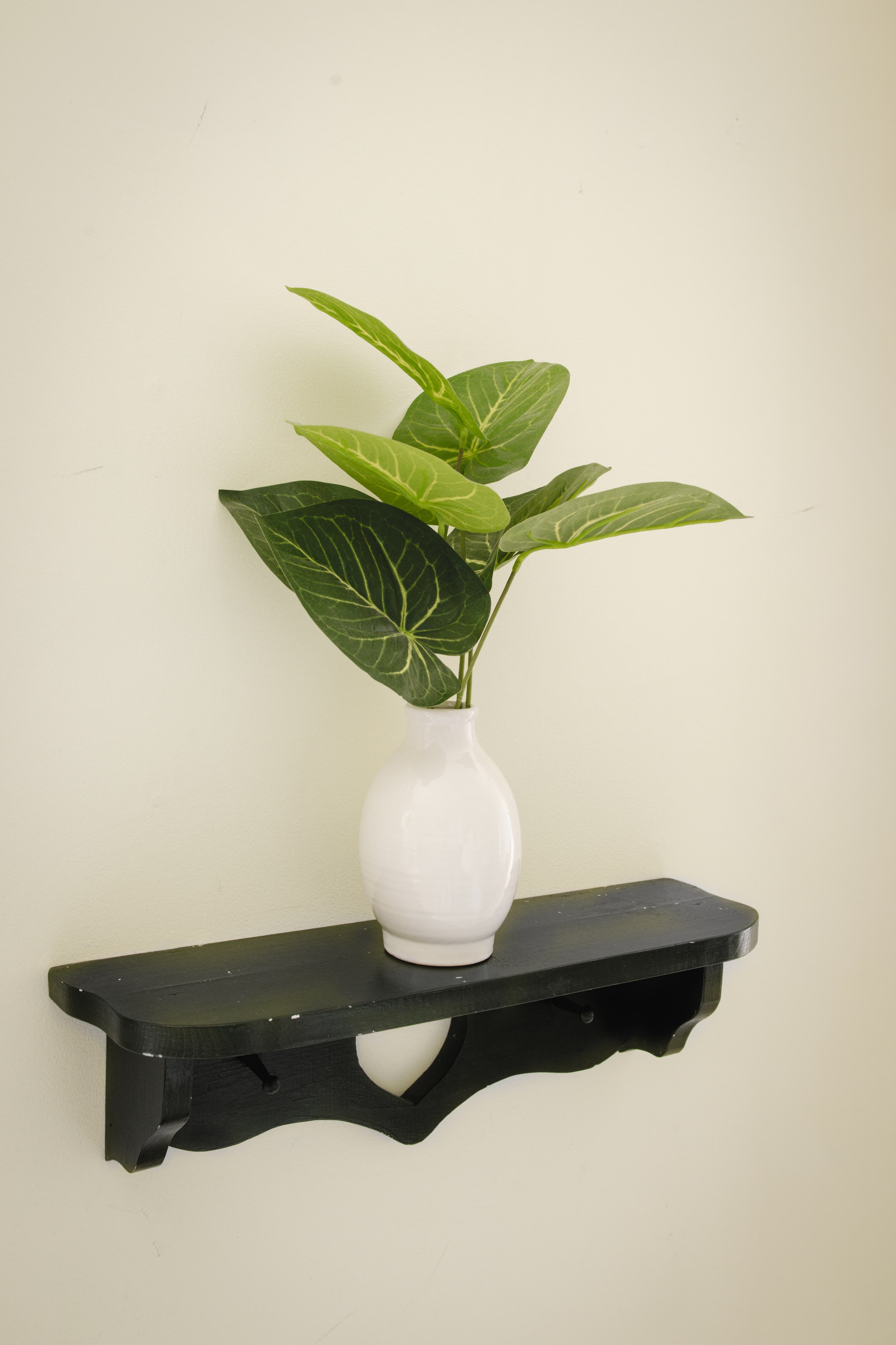 A white vase with green leaves sits on a black shelf against a light-colored wall.