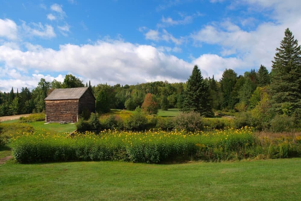 A rustic wooden barn surrounded by lush green fields and colorful wildflowers under a partly cloudy sky.