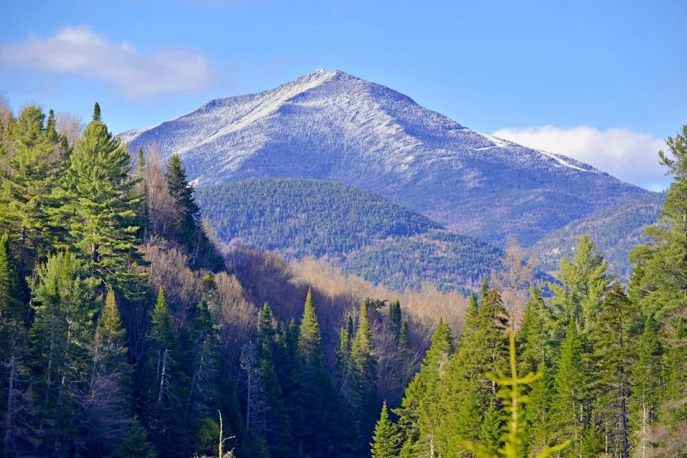 A snow-capped mountain rises above a dense forest under a blue sky.