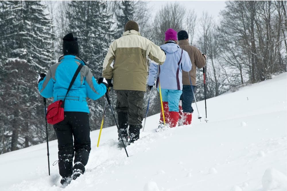 Five people hike through snow-covered terrain in winter gear.